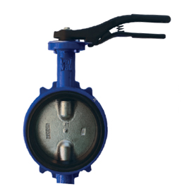 Затвор дисковый поворотный DN150 R59W Giacomini R59WY015